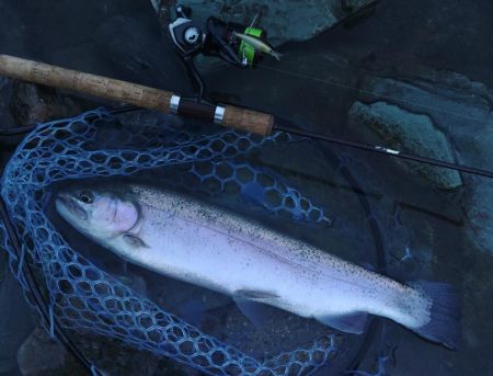 またやられた ～天竜川ルアーフライ専用区～